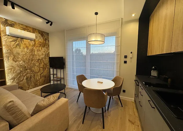 Vip Na Borowej Appartement *