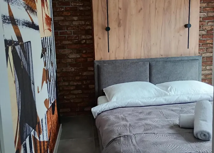 Appartement Vip Na Borowej *